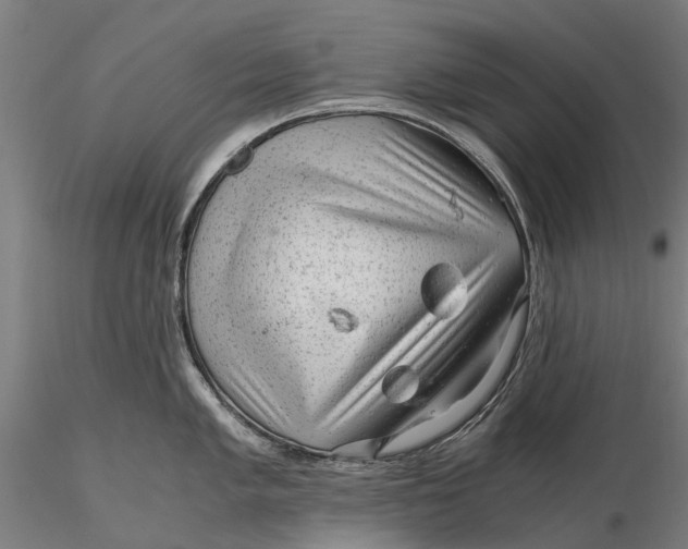 X0000115681005200912031415