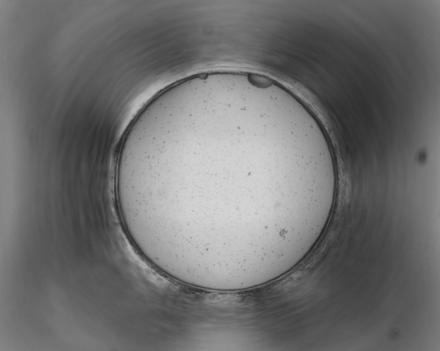 X0000115681006200912031415