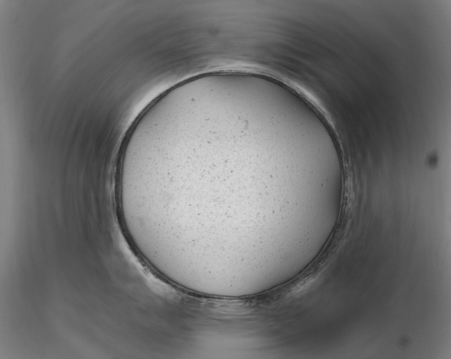 X0000115681007200912031415