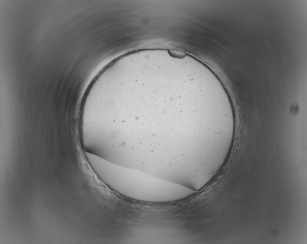 X0000115681008200912031415