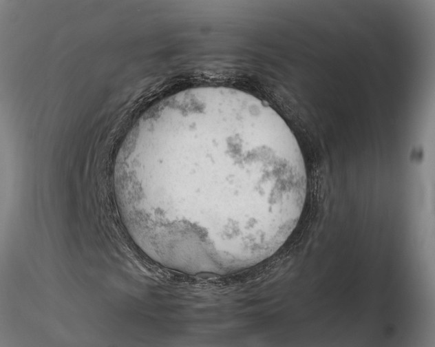 X0000115681009200912031414