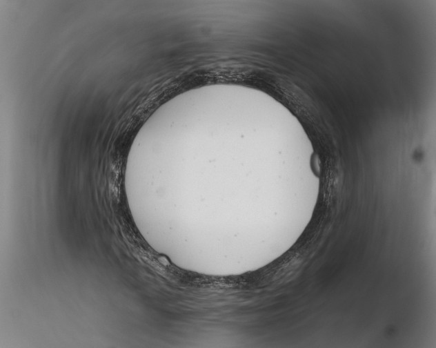 X0000115681010200912031414