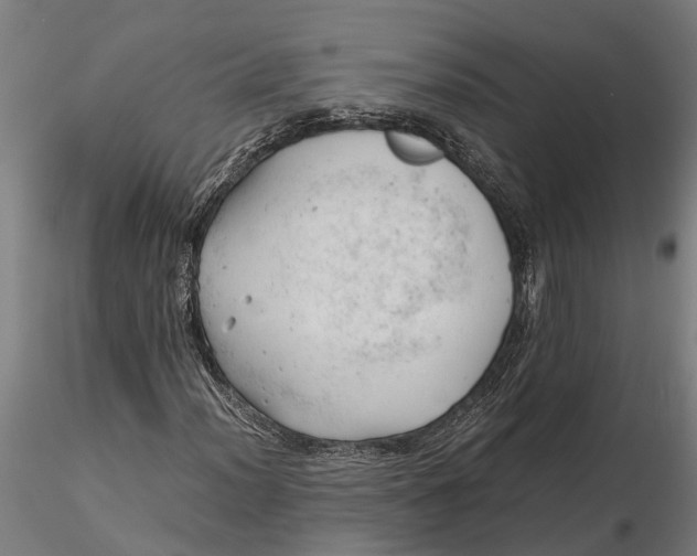 X0000115681012200912031414