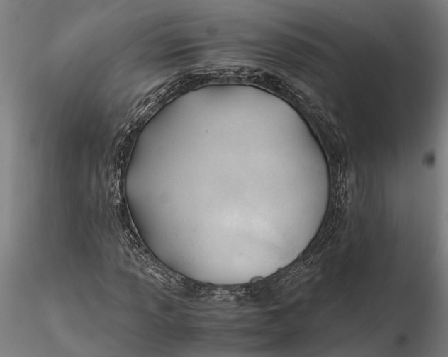 X0000115681013200912031414