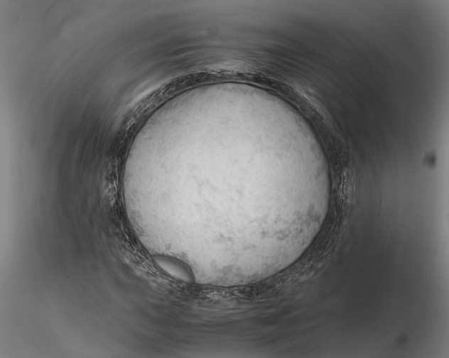 X0000115681015200912031414