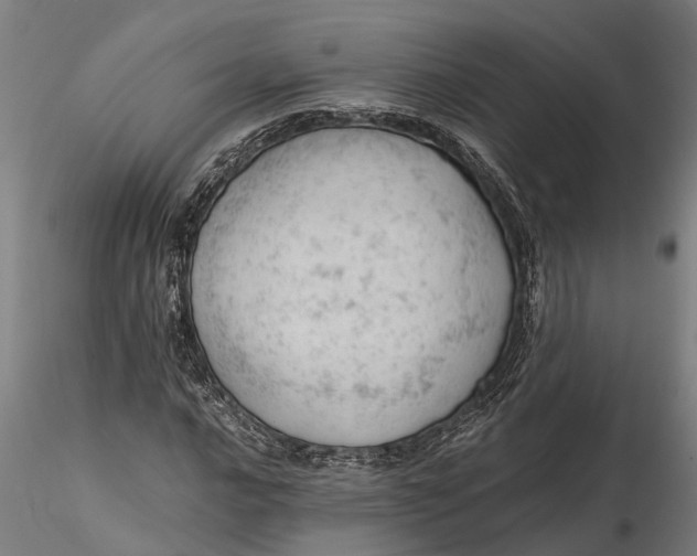 X0000115681016200912031414