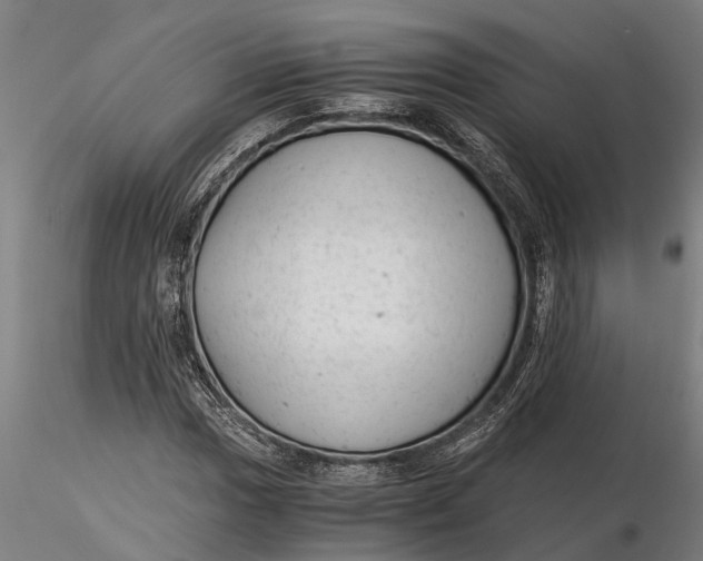 X0000115681017200912031414