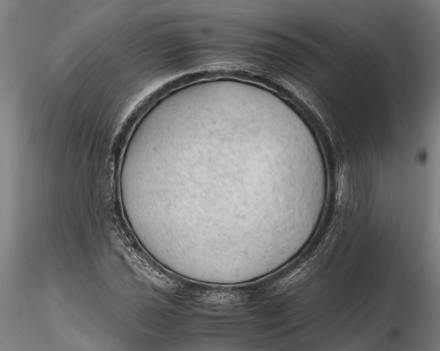 X0000115681021200912031414