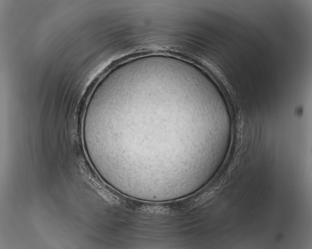 X0000115681023200912031414