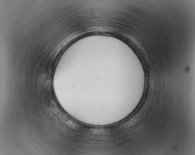 X0000115681025200912031414