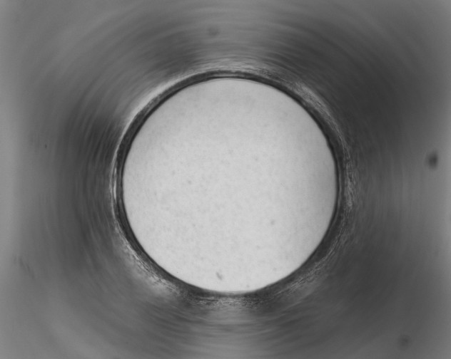 X0000115681028200912031414