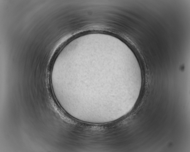 X0000115681029200912031414