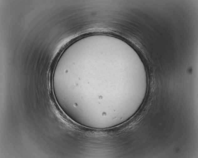 X0000115681030200912031414