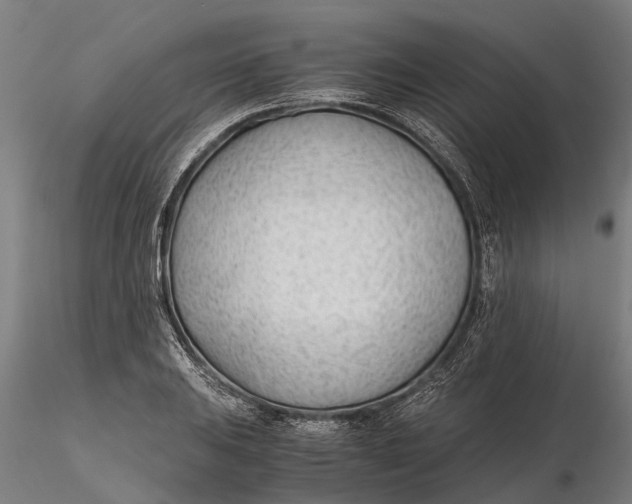 X0000115681031200912031414