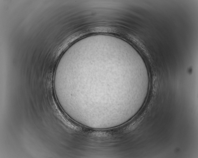 X0000115681033200912031414