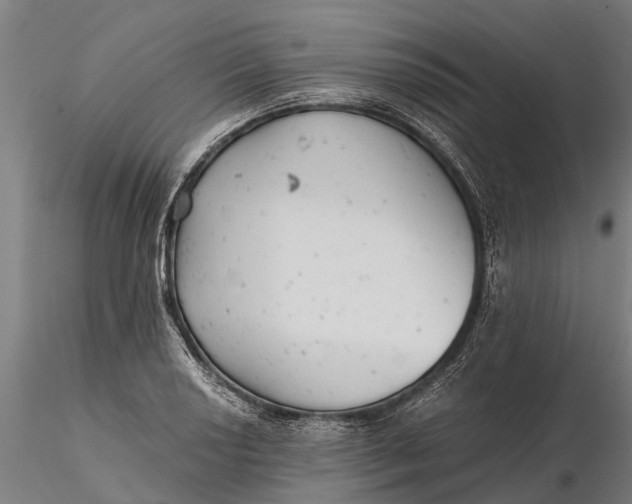 X0000115681034200912031414