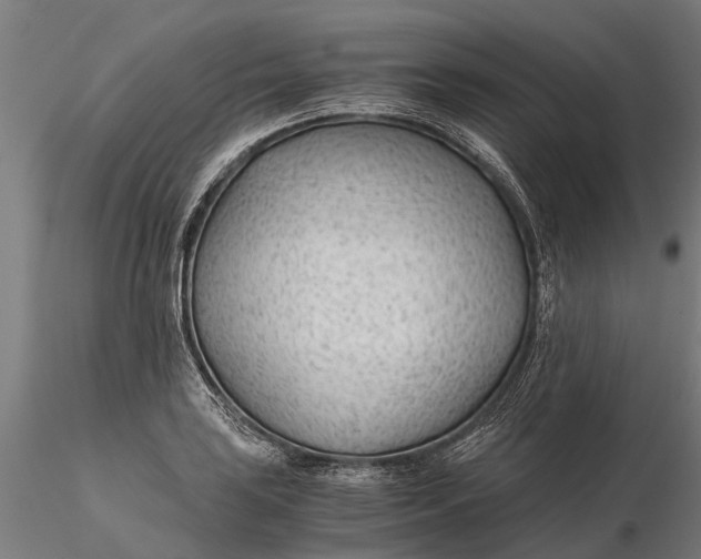 X0000115681035200912031415