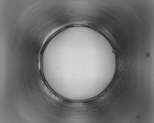 X0000115681036200912031415