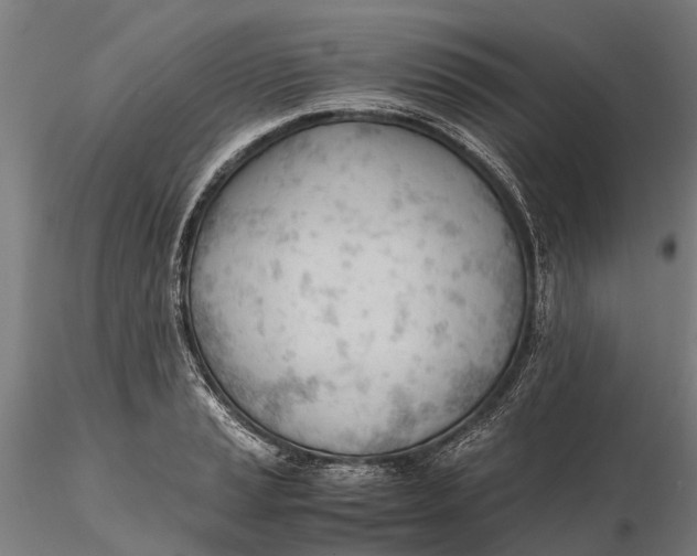 X0000115681037200912031415