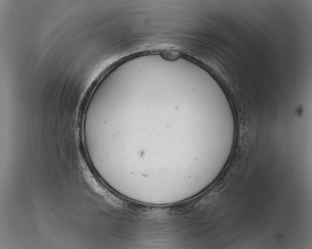 X0000115681038200912031415