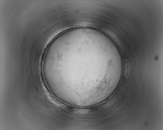 X0000115681039200912031415