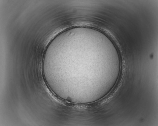 X0000115681041200912031415