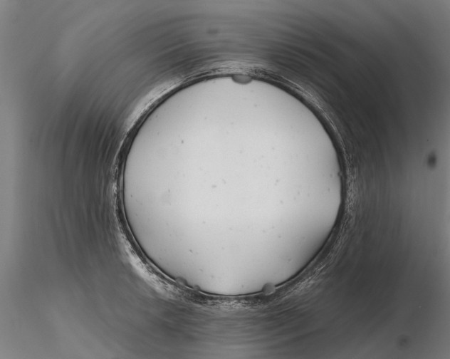 X0000115681042200912031415