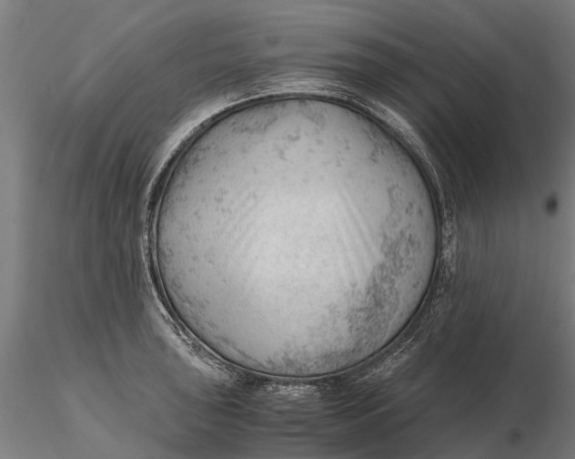 X0000115681043200912031415