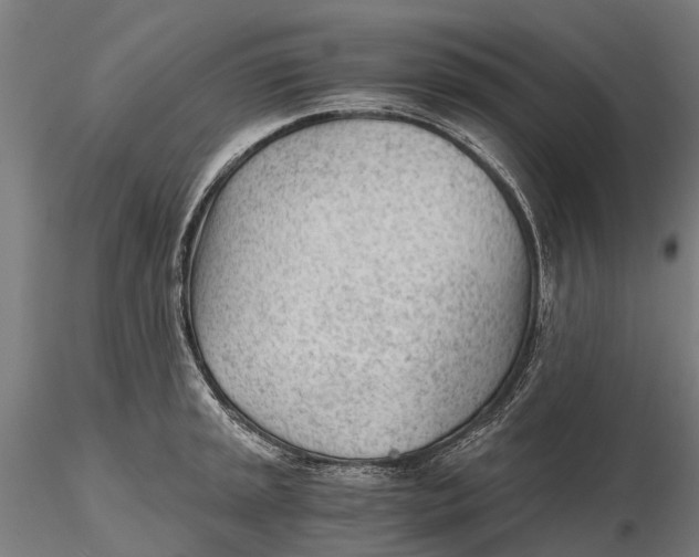 X0000115681045200912031415