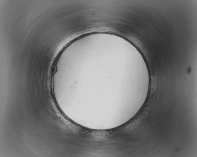 X0000115681046200912031415