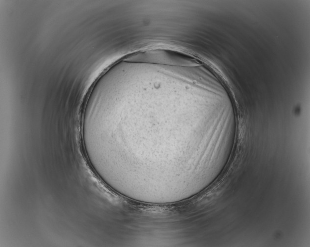 X0000115681048200912031415