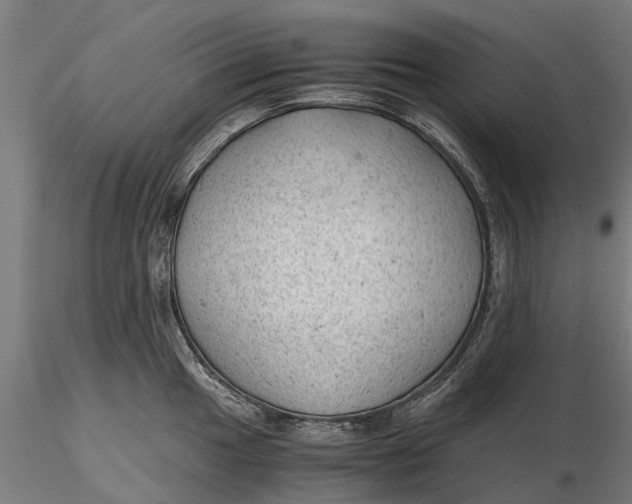 X0000115681049200912031415