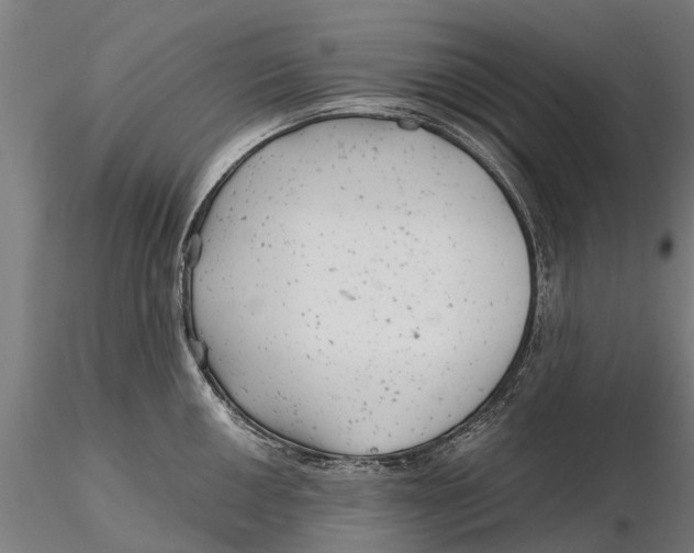 X0000115681050200912031415