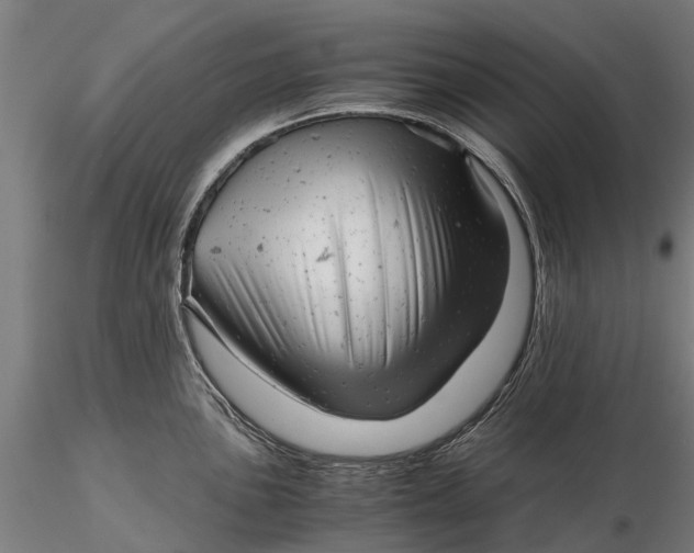 X0000115681051200912031415