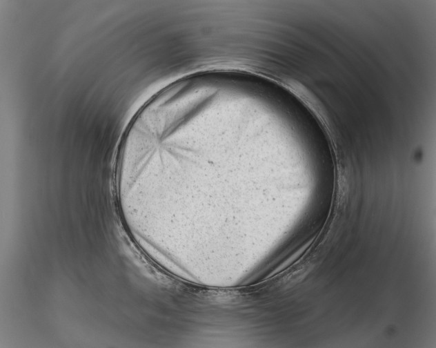 X0000115681052200912031415