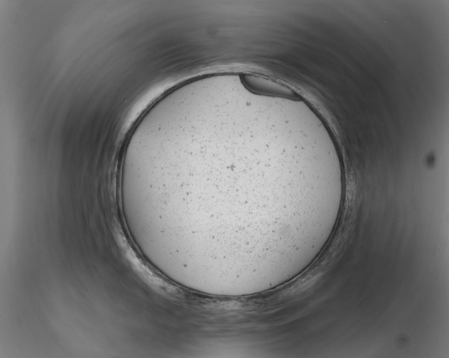 X0000115681054200912031415