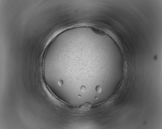 X0000115681055200912031415