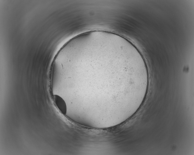 X0000115681056200912031415