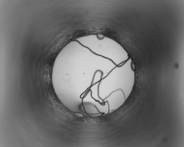 X0000115681058200912031414