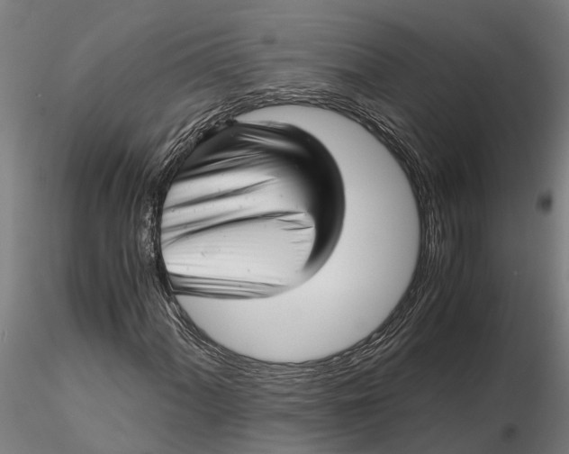 X0000115681060200912031414