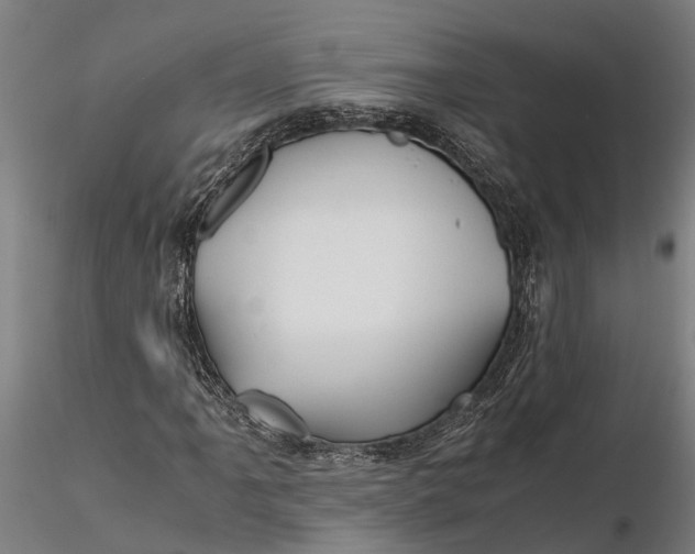 X0000115681061200912031414