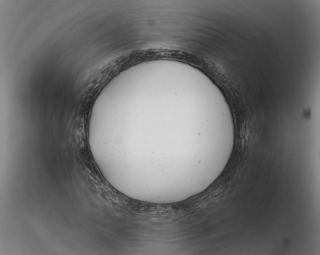 X0000115681062200912031414