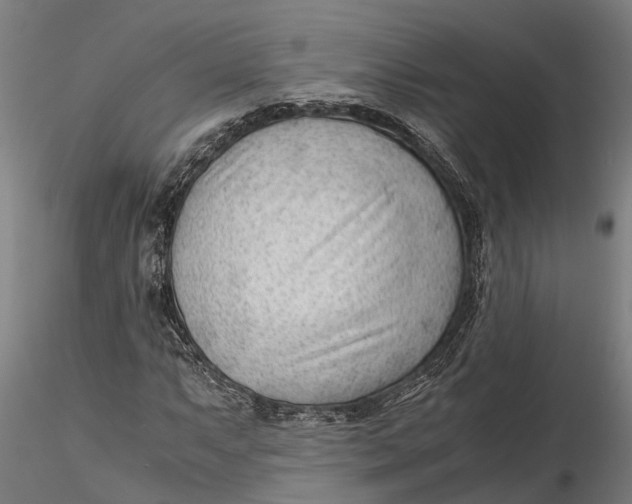 X0000115681063200912031414