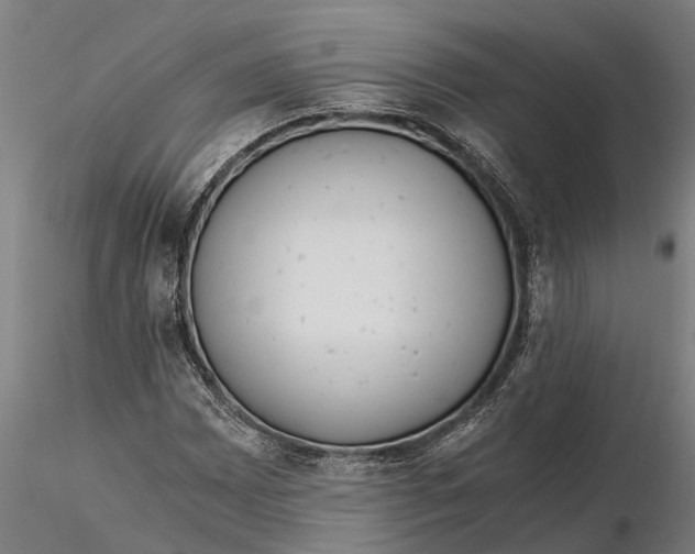 X0000115681065200912031414