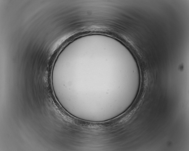 X0000115681066200912031414