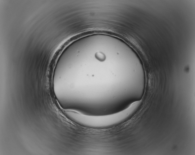 X0000115681068200912031414