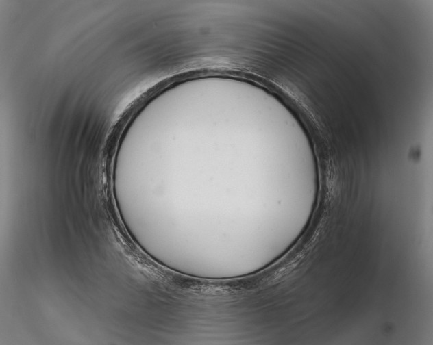 X0000115681070200912031414