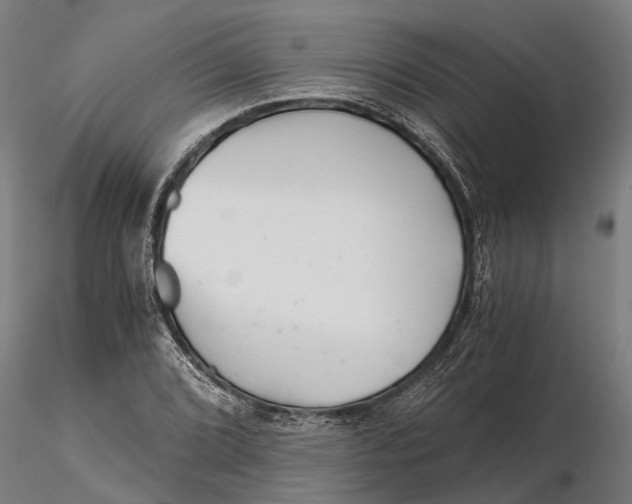 X0000115681072200912031414