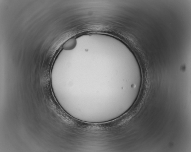 X0000115681073200912031414