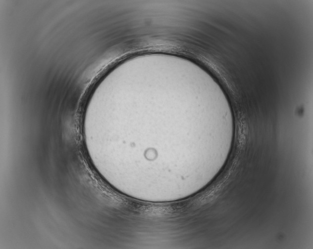 X0000115681074200912031414